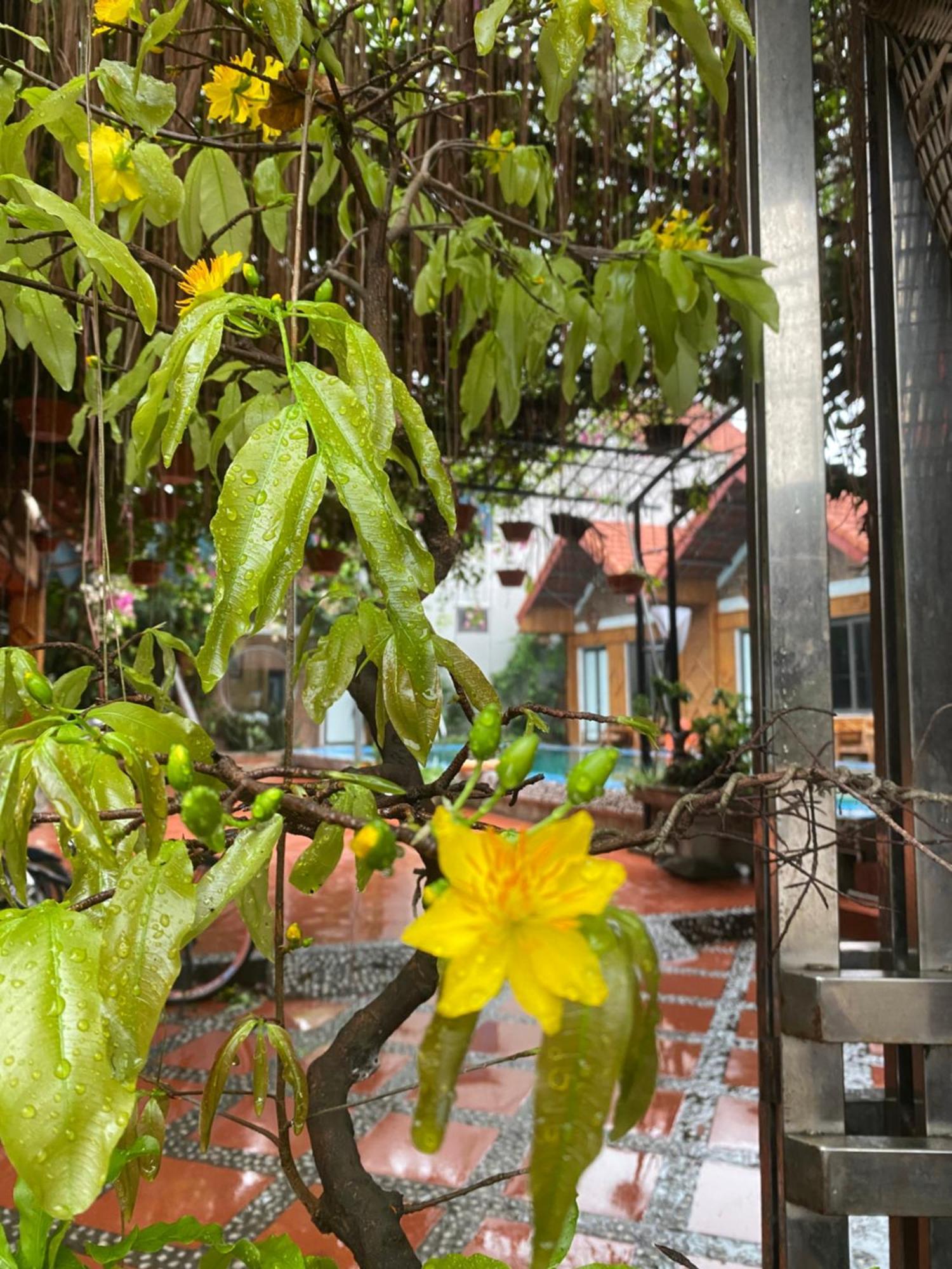נין בין Tam Coc Charming Bungalow מראה חיצוני תמונה
