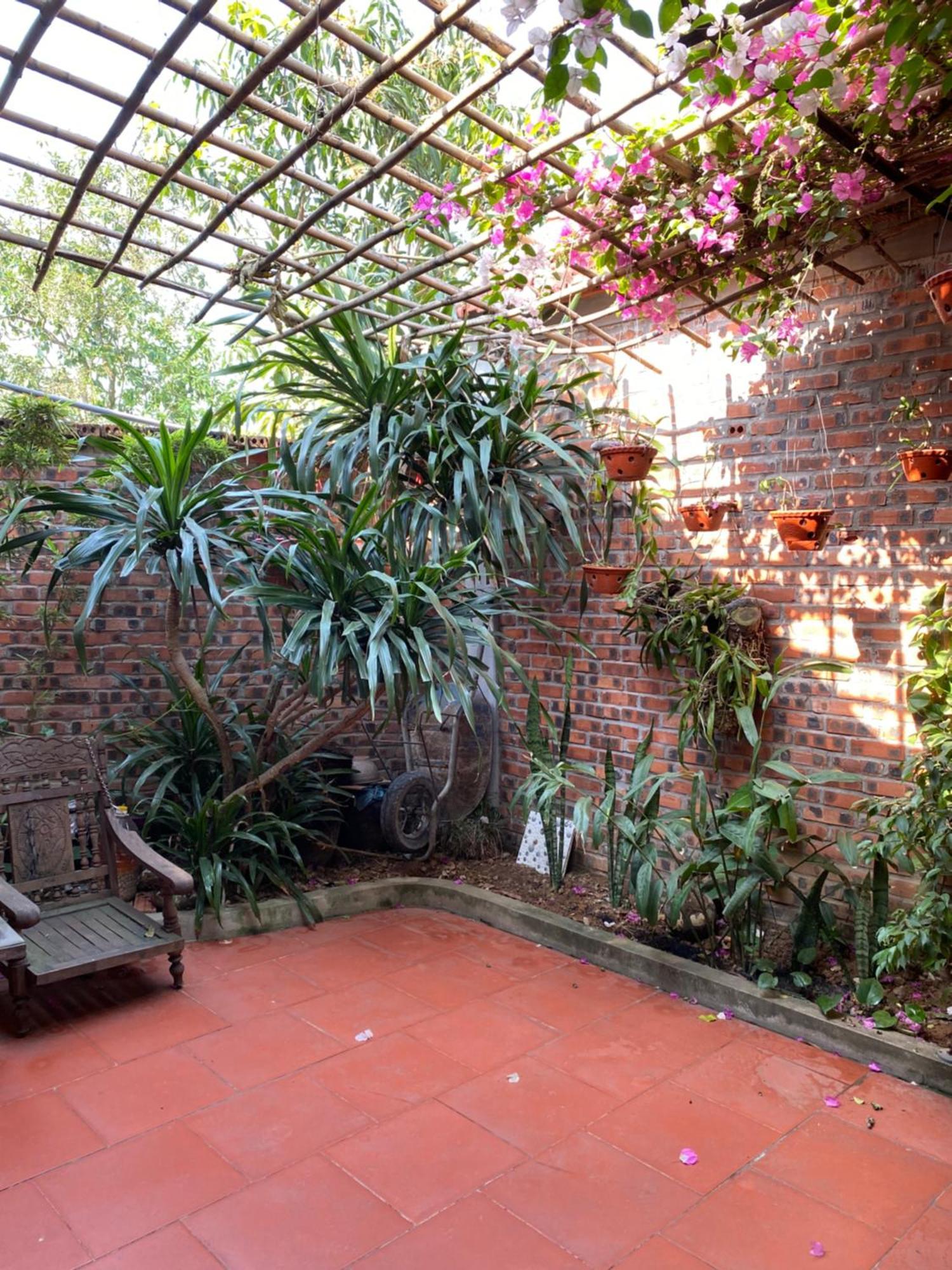נין בין Tam Coc Charming Bungalow מראה חיצוני תמונה